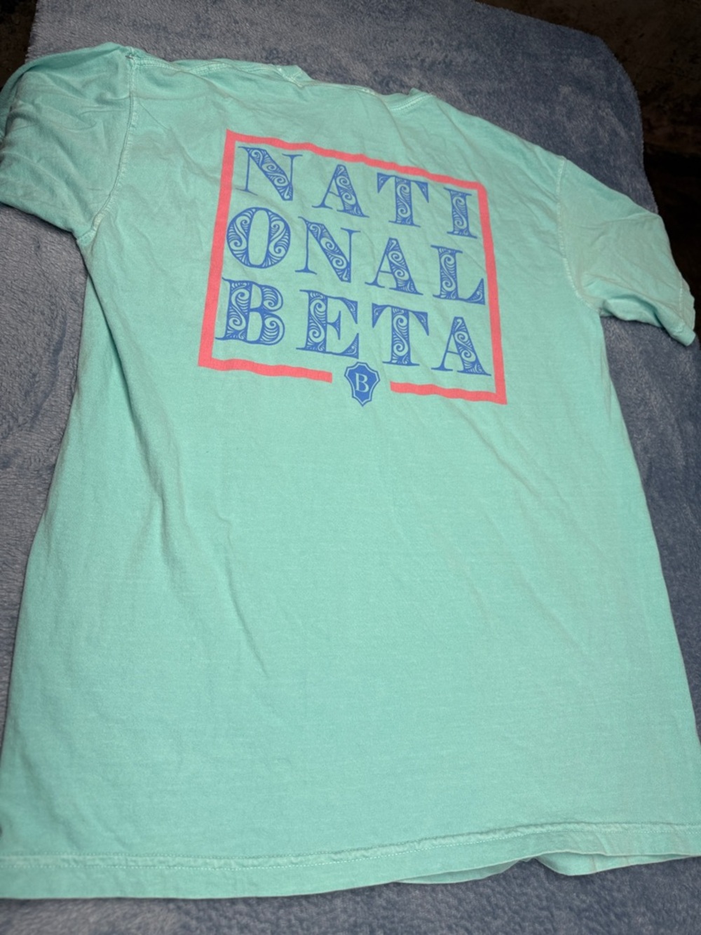 Mint 'National Beta' Graphic Tee with Coral & Blue Print